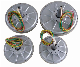  Tget200-0.1kw-350r Coreless Disc Generator with Outer Rotor, Three-Phase Permanent Magnet Alternator