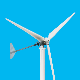  Good Quality 20kw Wind Generator Price 10 Kw 3kw 15kw Machine Horizontal 10kw Mini Wind Turbine
