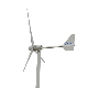  Rexco Wind Turbine Products Home Use 48V 5000W Wind Turbine System