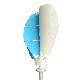 Good Quality Wind Turbine Generator Vertical Wind Turbine Price for Home