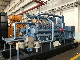  Dynamic 400kw Biomass Gas Engine Generator
