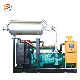  300 Kw Natural Gas Engine Power Generator for Biogas LPG Biomass Syngas