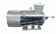  250kw 750rpm Steam Turbine Generator Low Speed AC Synchronous Permanent Magnet Generator