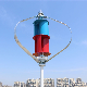 Hot Selling! 100W Vertical Axis Wind Turbine Generator for Home Use