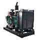 Power Plant Electric Power Generator for Gasifier Biomass Generator