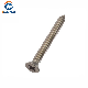  Cross Recessed Countersunk Head Tapping Screws DIN7982, Stainless Steel Countersunk/Flat Head Self Tapping Screws (Cross Recess Type/ POZI)