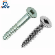 Carbon Steel and Stainless Steel Square Drive Flat Head Screw manufacturer