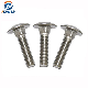  DIN603 Stainless Steel Carriage Bolt M8