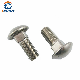 Stainless Steel Carriage Bolt (DIN 603) manufacturer