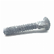  Galvanized Carbon Steel Carriage Bolt Round Head Bolts