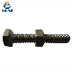 Carbon Steel and Stainless Steel Assembled Hex Bolt with Nut manufacturer