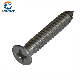 Countersunk Head/Pan Head /Truss Head Cross Recessed/Phillip Machine Screw/Stainless Steel Tapping Screw manufacturer