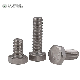  High Quality Satinless Steel SS304 SS316 Hex Bolt