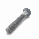  High Quality M24 M30 Hot DIP Galvanized Electric Long Neck Carriage Bolt with Fine Pitch Thread for Power