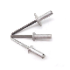  Stainless Steel 304 316 A2 A4 Multigrip Type Blind Rivets