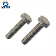 Stainless Steel Ss304 Hex Head Bolt