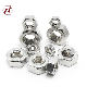 M1.4-M72 Stainless Steel A2 A4 SS304 SS316 DIN 934 Inox Hex Nut