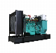  Syngas Power Generator Used for Biomass and Biogas Electricity Generation