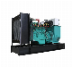 Syngas Power Generator Used for Biomass and Biogas Electricity Generation