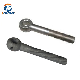 High Quality Stainless Steel/ Galvanized Swing Bolt manufacturer