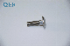  DIN603 Wzp Carbon Steel/ Stainless Steel Fastener Carriage Bolts