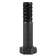  Hex Structural Bolt/Anchor Bolt Multiple Repurchase with Black