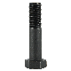 Hex Structural Bolt/Anchor Bolt Multiple Repurchase with Black