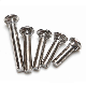 Stainless Steel 304 Carriage Bolt DIN 603 316 Coach Bolt A2-70 Rhsn Bolt A4-80 Rhsn Bolt