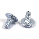  GB/T 801 Galvanized Large Flat Round Head Short Neck Square Neck Carriage Bolts