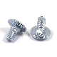 GB/T 801 Galvanized Large Flat Round Head Short Neck Square Neck Carriage Bolts