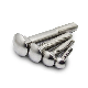  Hot Sales Stainless Steel Carriage Bolt Mushroom Head Round Head Carriage Bolt