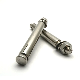 Stainless Steel Mechanical Expansion Anchor Bolt for Concrete Masonry Holding