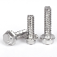 Factory Price Hex Head DIN 6921 SS304 316 Stainless Steel Hex Flange Bolt