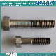  Stainless Steel 304 Hex Bolt with Partial Thread Custom Fastener/Hex Bolt/SS304 Bolt/SS316 Bolt and Nut/Flange Bolt/Carriage Bolt/Anchor Bolt Hardware