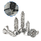 DIN7504 SS304 SS316 Cross Recessed Flat Countersunk Head Self Tapping Drilling Screw