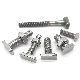  Wholesale M5 M6 M8 M10 Stainless Steel 304 Hammer Head T Slot Bolt