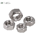 Stainless Steel SS304 SS316 Hex Nut (DIN934)
