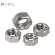  Stainless Steel SS304 SS316 Hex Nut (DIN934)