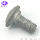 HDG Hot DIP Galvanized A307A Highway Guardrail Splice Bolts