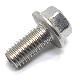 DIN6921 Ss Hex Flange Bolt with Serrated Lock manufacturer