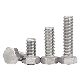  China Products Stainless Steel 304 Hex Bolt Series