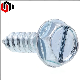 Hot DIP Galvanized Self Tapping Screw Slotted Hex Head Screw