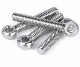 Industrial DIN444 Lifting Zinc Plated Forged Lifting Stainless Steel Eye Bolt