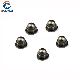 DIN1587 Stainless Steel 316 Hexagon Nut Domed Cap Nuts manufacturer
