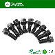 Grade 10.9 Black Wheel Lug Bolt (grade 8.8 grade 12.9)