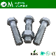 Hex Bolt and Nut