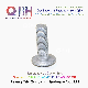 Qbh Hot-Dipped Galvanized Guardrail Guard Bar Security Fence Bolts