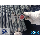 Factory Direct Selling Solid and Hollow Self Drilling Anchor Bolts Rock Bolts