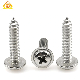 Stainless Steel 304 M3 5mm Phillips Pan Wafer Head Self Tapping Screws for Plastic