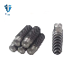 Black Threaded Stud Arc Stud Welding Abstract Welding Studs with Ceramic Ferrules